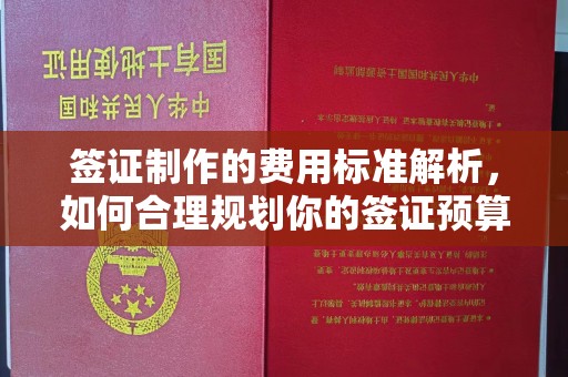 巴彦淖尔市签证制作的费用标准解析，如何合理规划你的签证预算